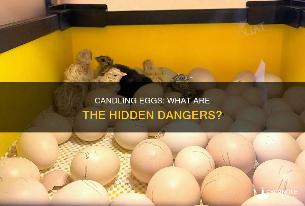 what are the risks of candling egg