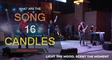 The Sweet Sixteen Song: 16 Candles