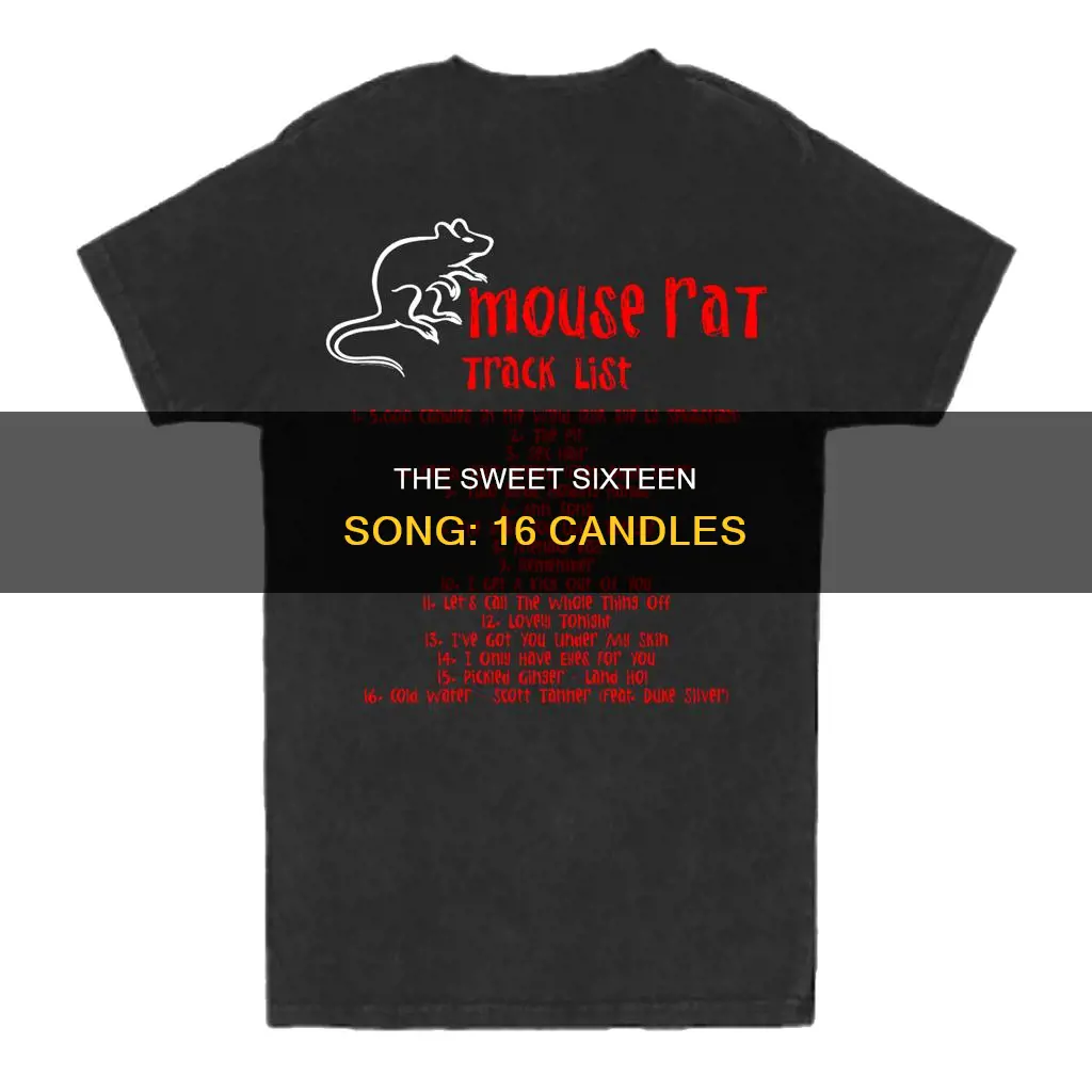 what are the song 16 candles