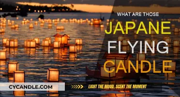 The Magical Art of Japanese Flying Candles
