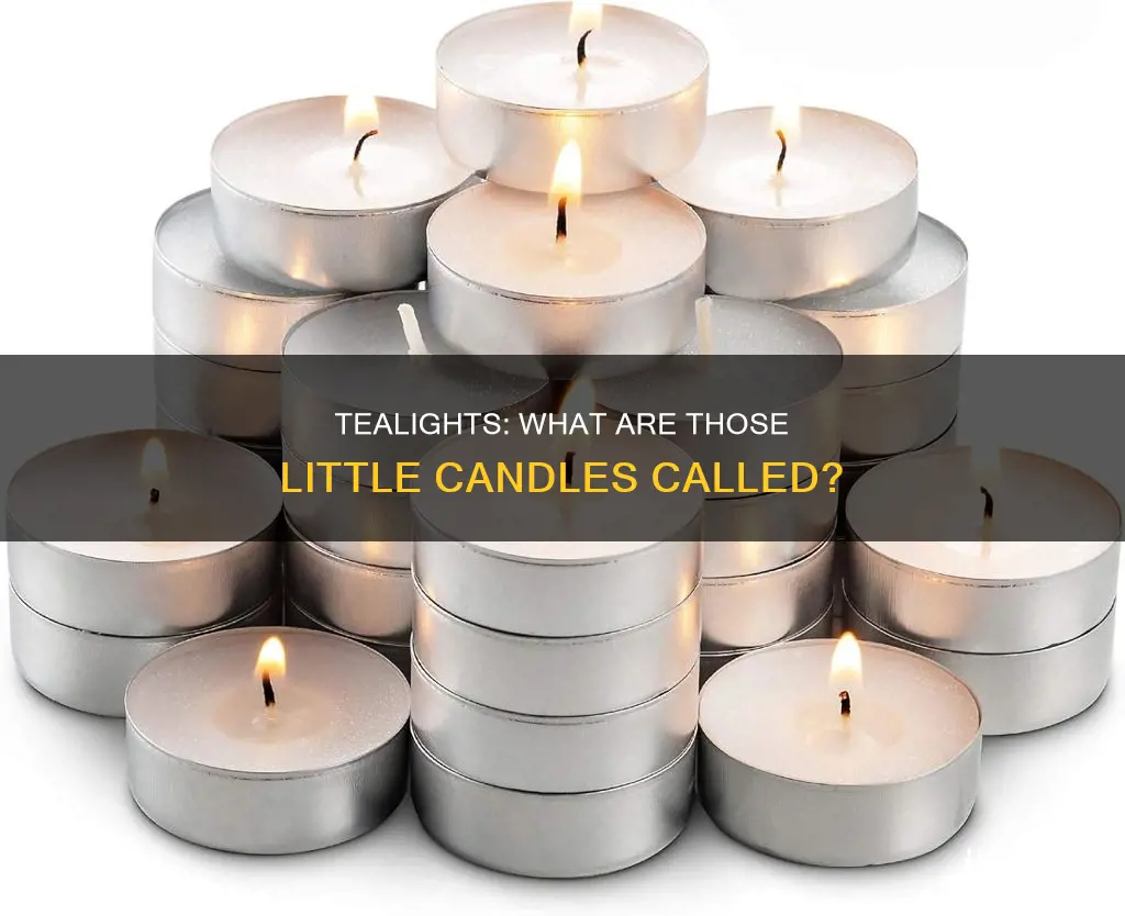 what are those little candles called
