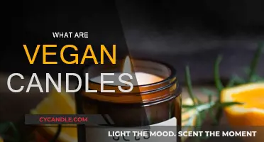 Vegan Candles: Natural, Cruelty-Free Comfort for Your Home