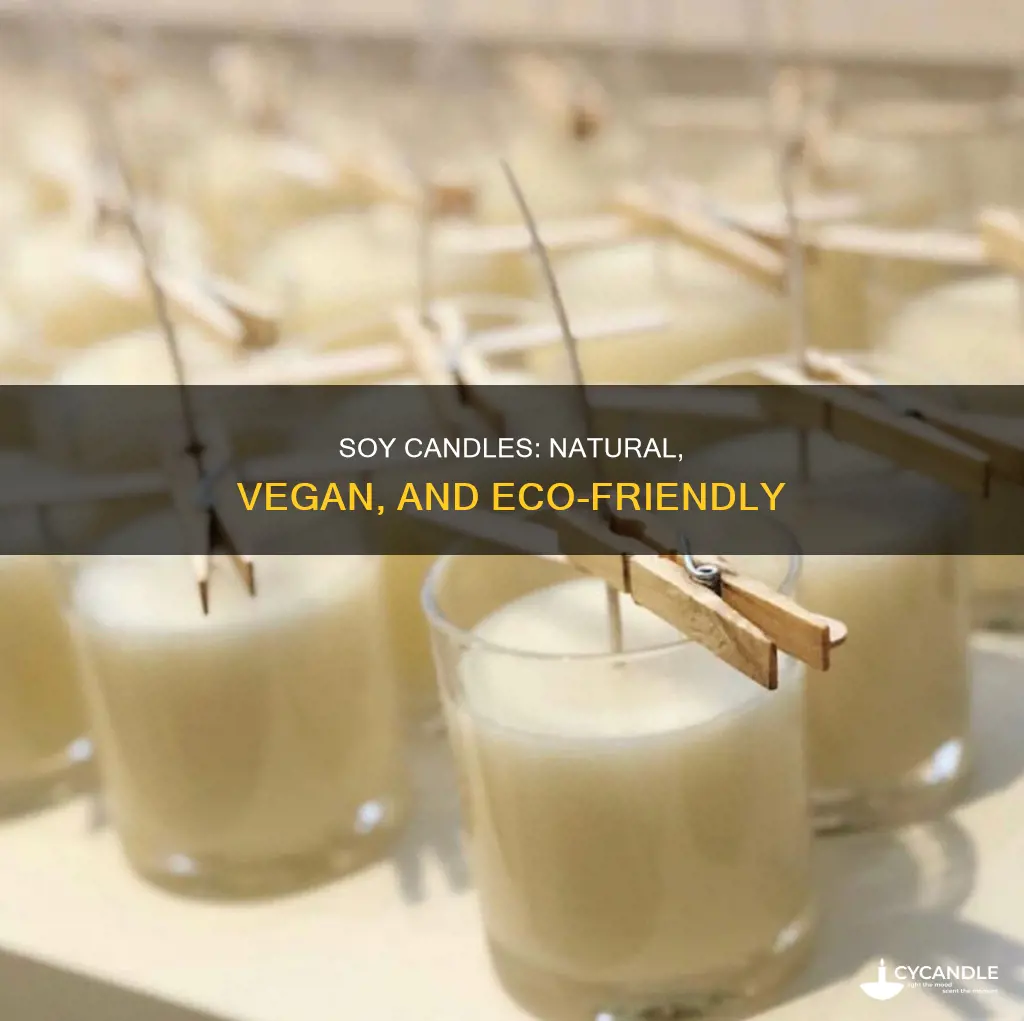 what are veggie soy candles