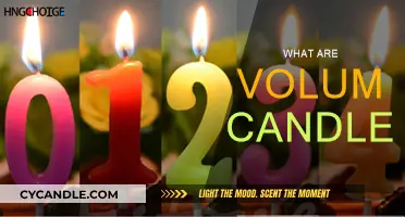 Understanding Volume Candles: Market Insights