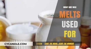 Unveiling the Versatile Uses of Wax Melts: A Comprehensive Guide