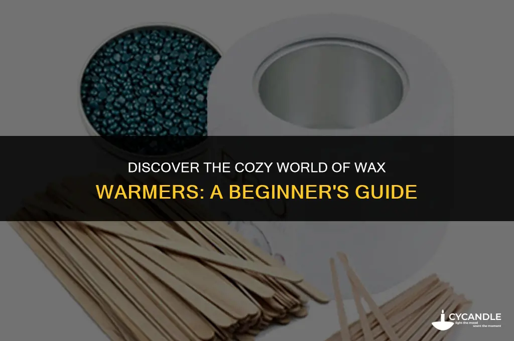 what are wax warmers