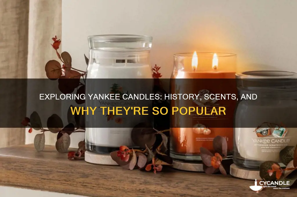 what are yankee candles