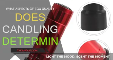 Candling Eggs: What Quality Traits Can Be Seen?