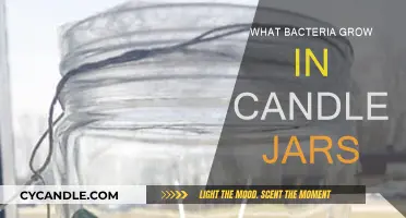 Unseen Bacteria: Candle Jars' Microbial Growth