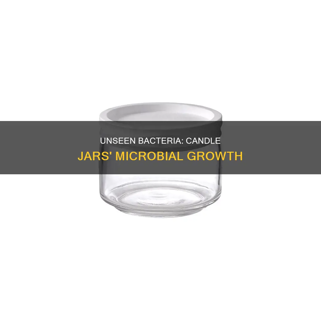 what bacteria grow in candle jars