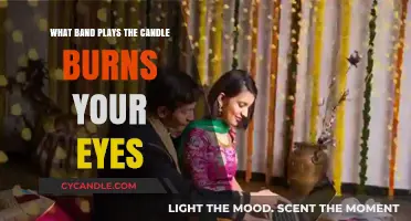 The Band Behind 'The Candle Burns Your Eyes' Revealed