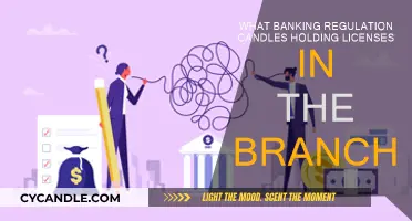 Banking Regulation: Licensing Rules for Branch Operations