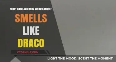 Draco's Scent: Bath and Body Works Candle Smell Guide