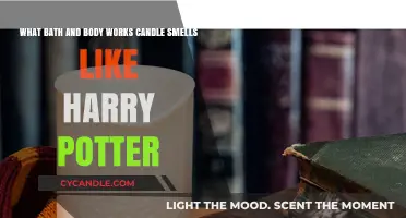 Magical Scents: Bath & Body Works Candles Evoke Harry Potter Vibes