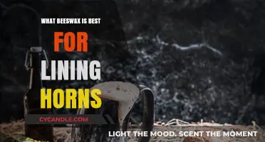 Choosing the Best Beeswax for Lining and Preserving Horns