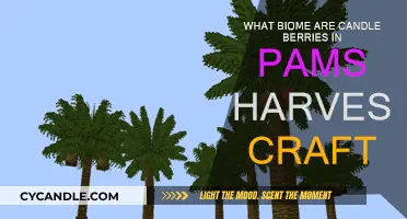 Candle Berries: Discover Their Natural Habitat in Pam's HarvestCraft