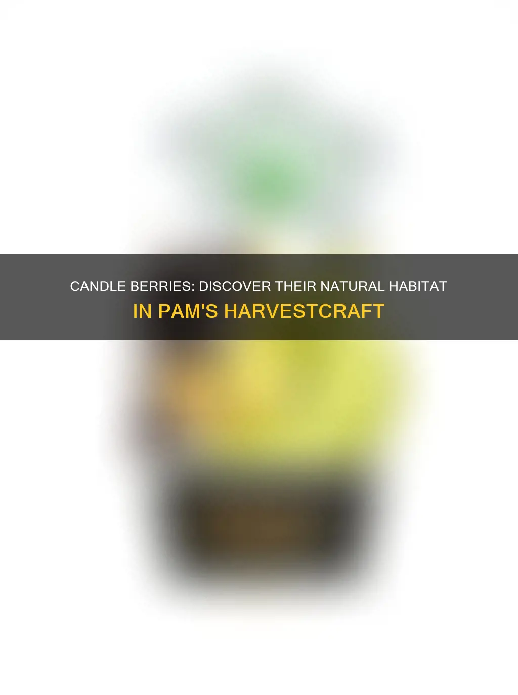 what biome are candle berries in pams harvest craft