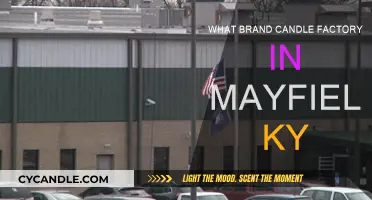 Mayfield Tragedy: Candle Factory's Dark Hour