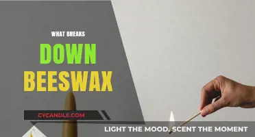 Understanding the Natural and Chemical Processes That Break Down Beeswax