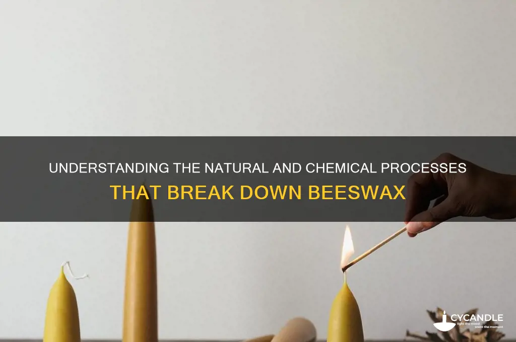 what breaks down beeswax
