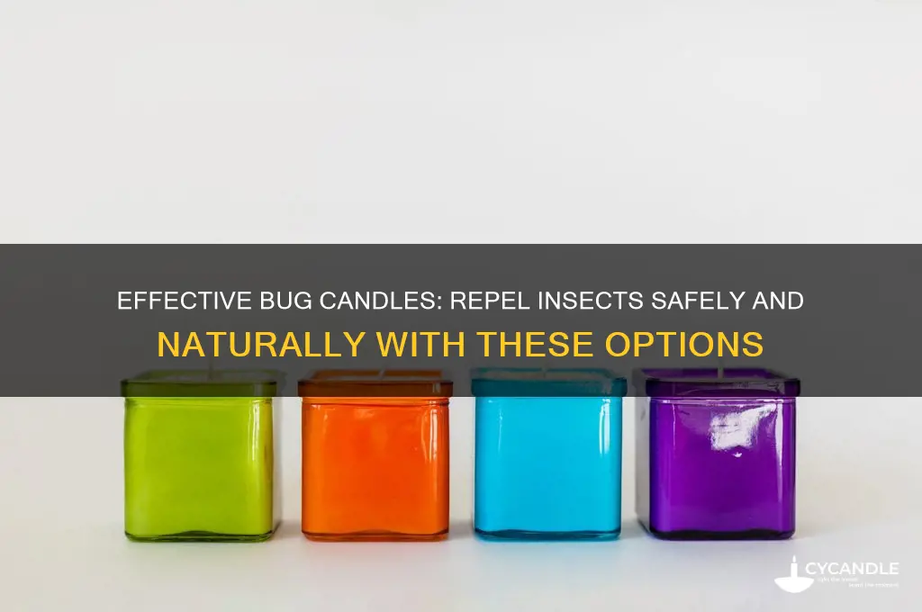 what bug candles work