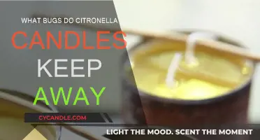 Citronella Candles: Natural Pest Repellent for Your Home