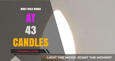 Which Bulb Matches the Glow of 43 Candles? Find Out!