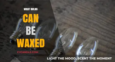 Waxing Bulbs: A Guide to Which Types Can Be Safely Waxed