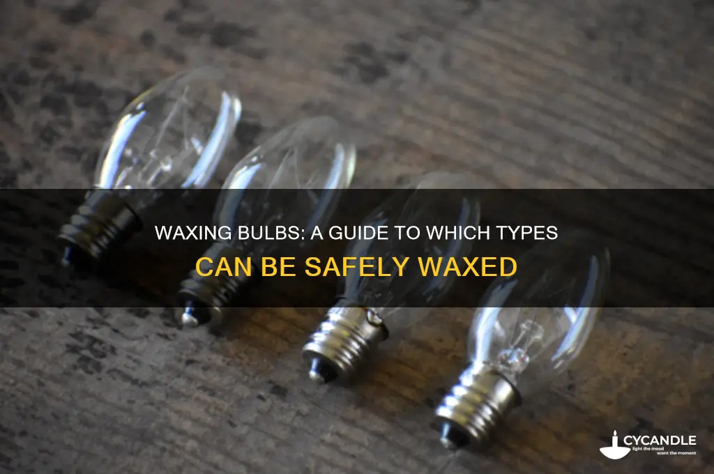 what bulbs can be waxed