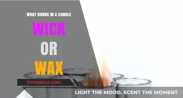 Candle Science: Unveiling the Flame's Fuel in Wick or Wax