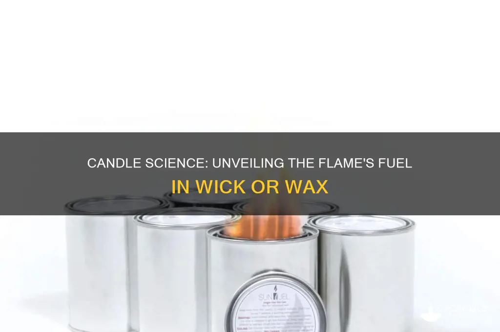 what burns in a candle wick or wax