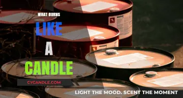 What Burns Like a Candle? Exploring Surprising Flammable Materials