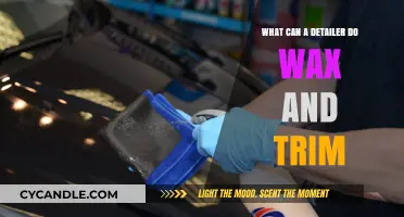 Detailing Mastery: Waxing, Trimming, and Transforming Your Vehicle's Look