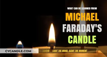 Michael Faraday's Candle: Illuminating Lessons in Science and Curiosity