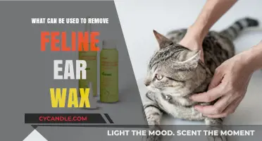 Effective and Safe Methods to Remove Ear Wax in Cats