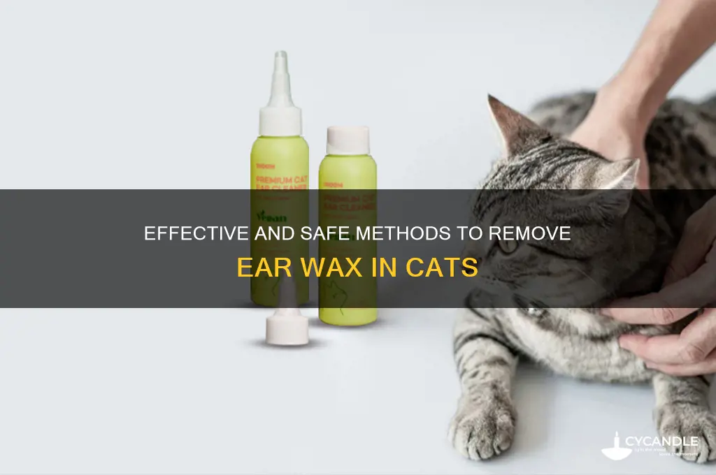 what can be used to remove feline ear wax
