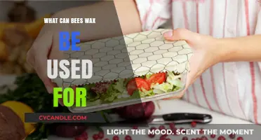 Discover the Surprising Uses of Beeswax in Daily Life