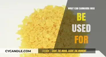 Carnauba Wax Uses: From Car Care to Cosmetics and Beyond