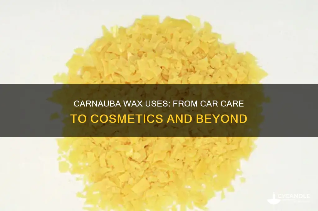 what can carnauba wax be used for