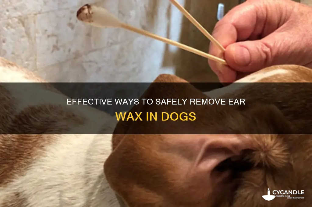 what can get rid of ear wax in dogs