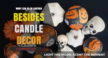 Creative Lantern Fillers Beyond Candles: Unique Decor Ideas to Try