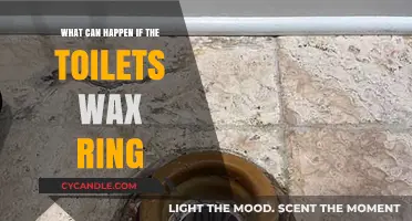 Toilet Wax Ring Failure: Causes, Consequences, and Quick Fixes