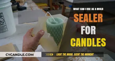 Effective Mold Sealer Options for Perfect Candle Making at Home