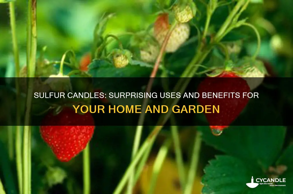 what can i use sulfur candles for
