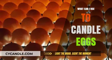 Candling Eggs: Best Tools and Techniques for Freshness Testing