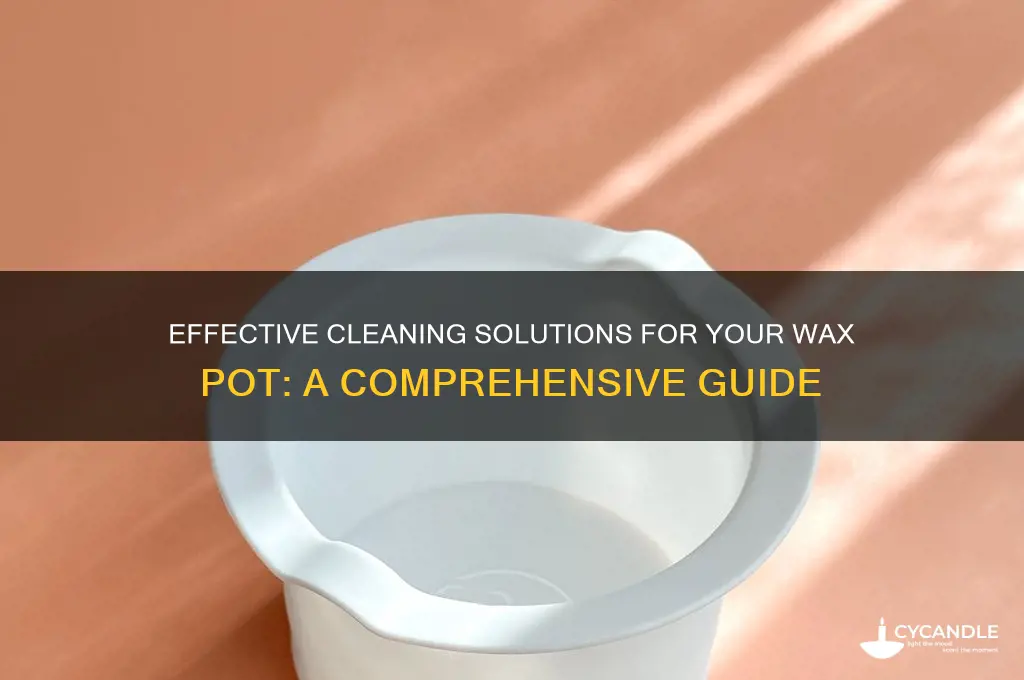 what can i use to clean my wax pot