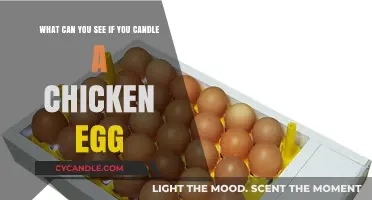 Candling Chicken Eggs: Unveiling the Hidden Wonders Inside the Shell