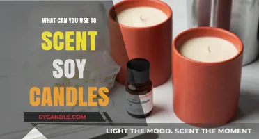 Discover the Best Scents and Oils for Soy Candles