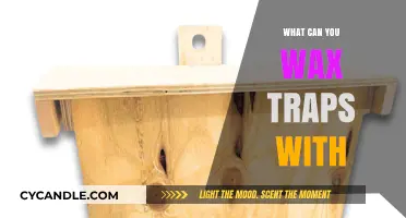 Effective Wax Trap Baits: Creative Solutions for Trapping Unwanted Pests