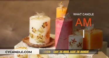 Finding Your Signature Scent: What Candle Am I?